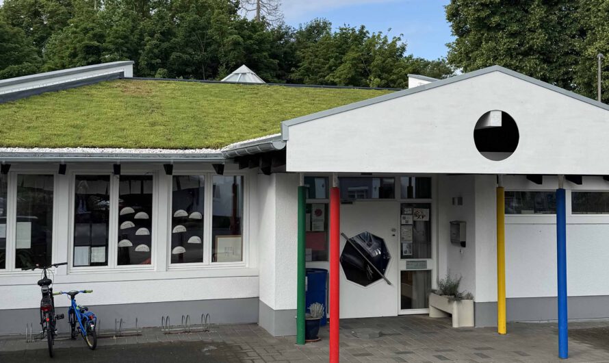 Fertigstellung des Gründachs