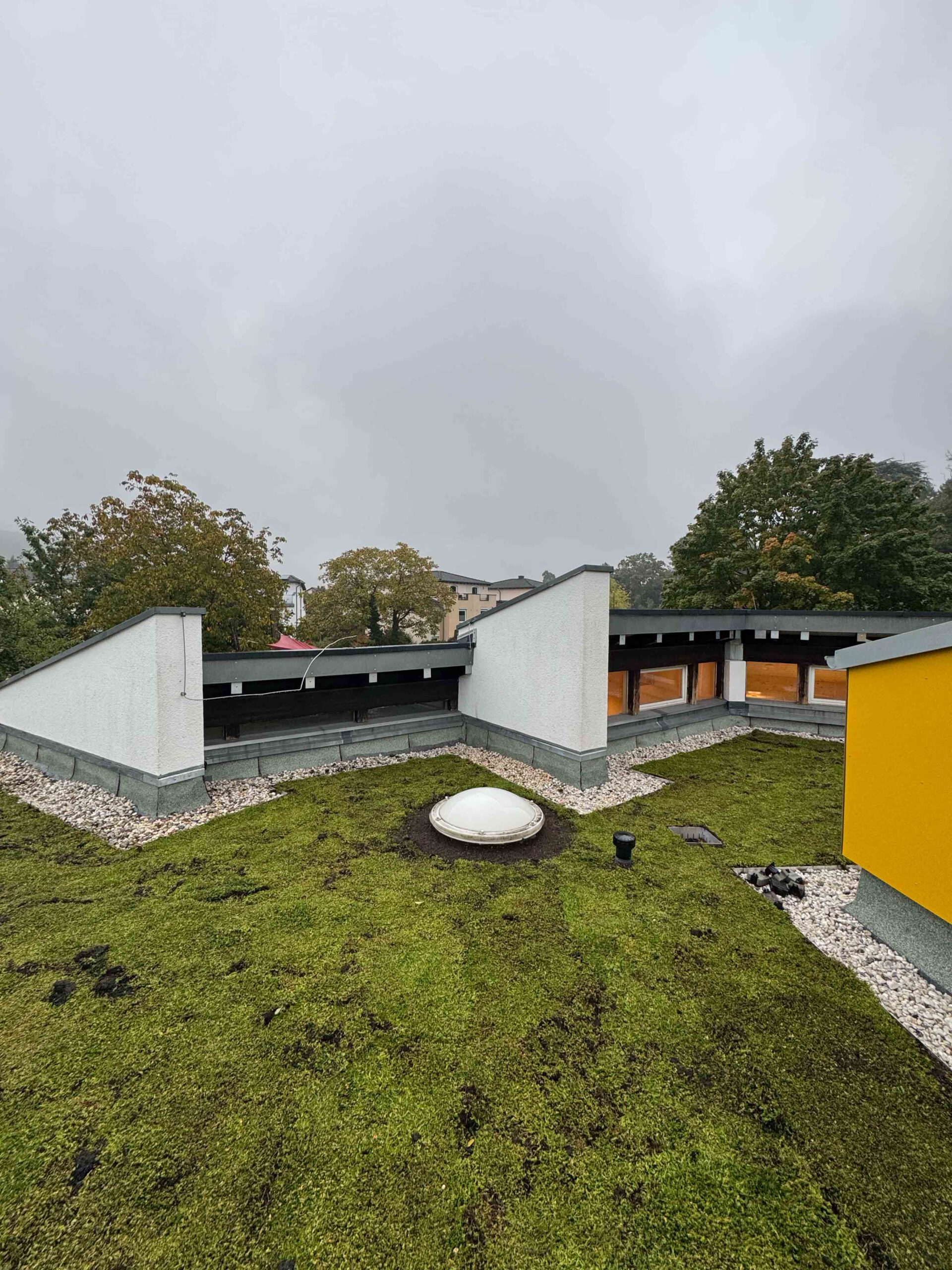 Das Flachdach wurde begrünt